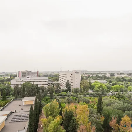 Santa Scolastica By Apulia Bari