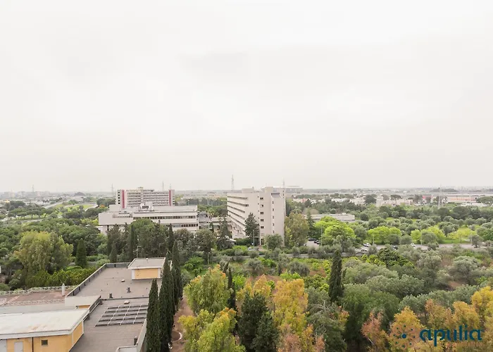 Santa Scolastica By Apulia Bari